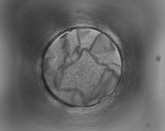 X0000116670009201001111320