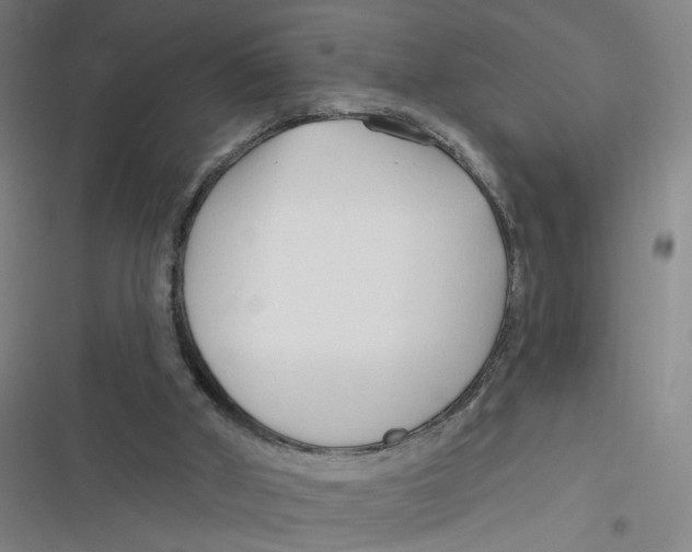 X0000116670010201001111320