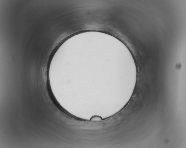 X0000116670011201001111320