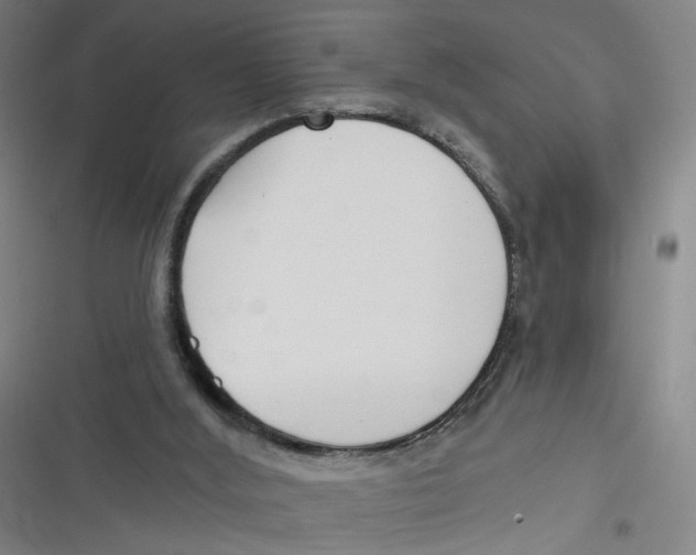 X0000116670012201001111320