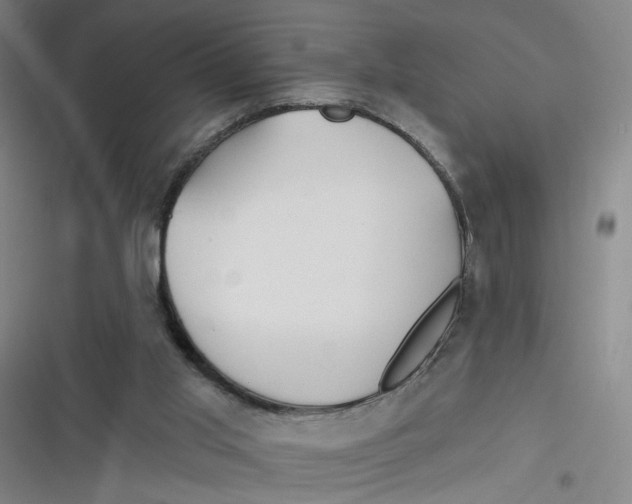 X0000116670013201001111320