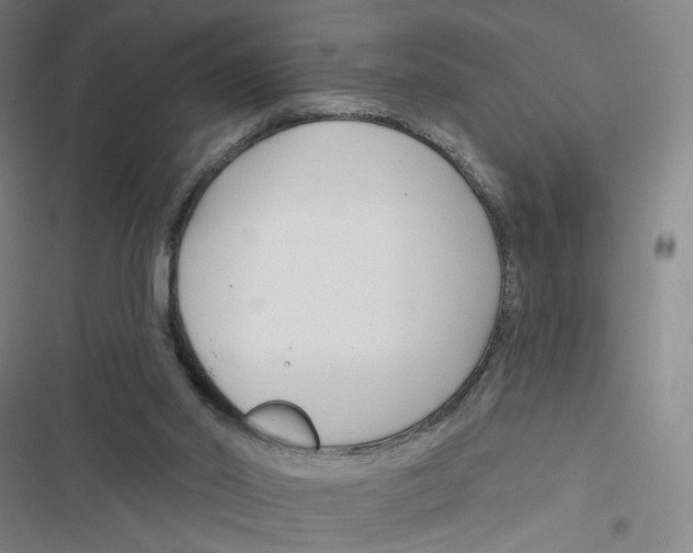 X0000116670014201001111320