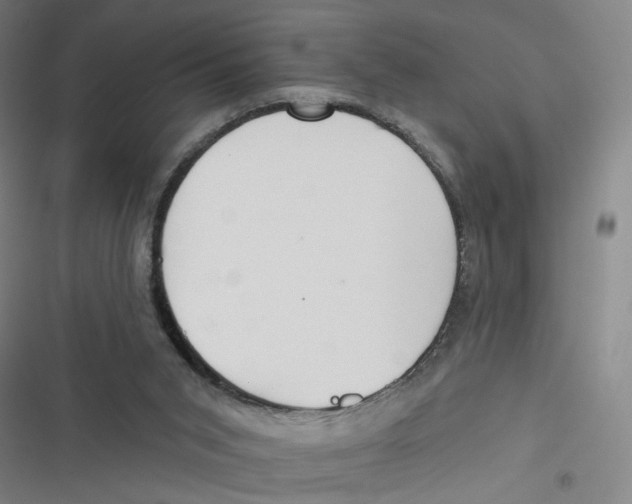 X0000116670015201001111320