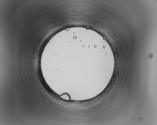 X0000116670016201001111320