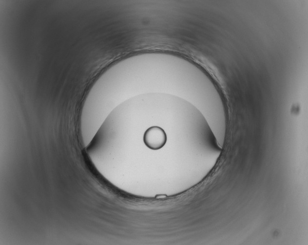 X0000116670017201001111320