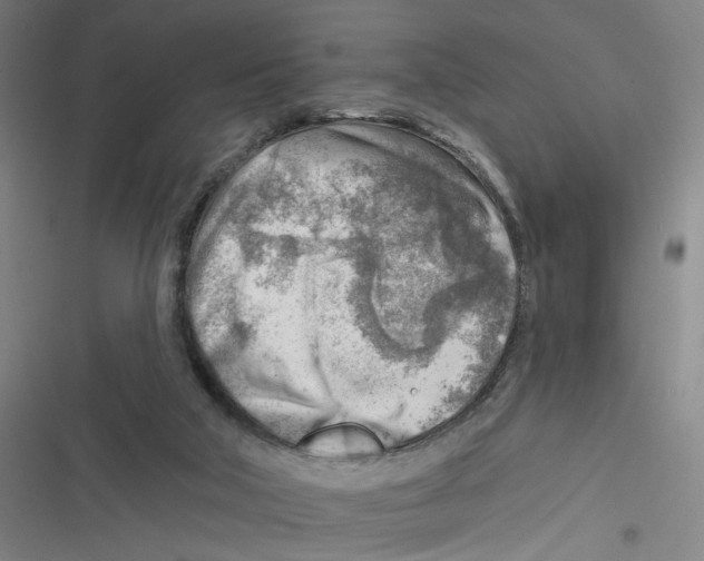 X0000116670018201001111320