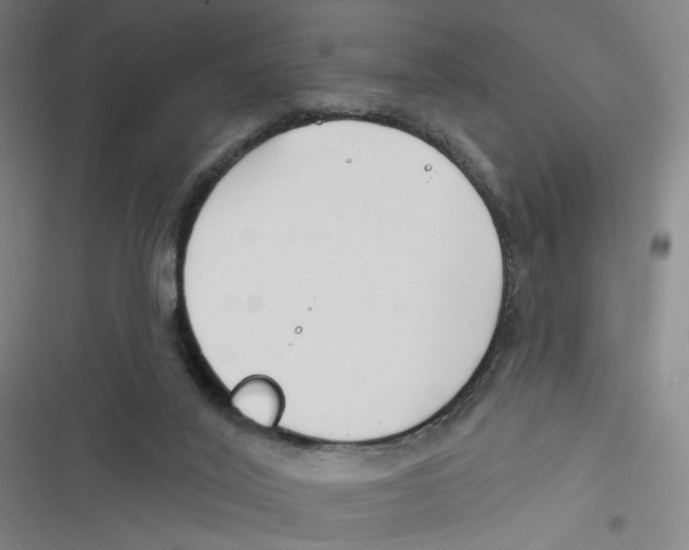 X0000116670020201001111320