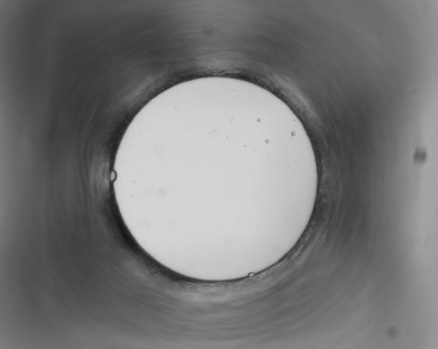 X0000116670021201001111320
