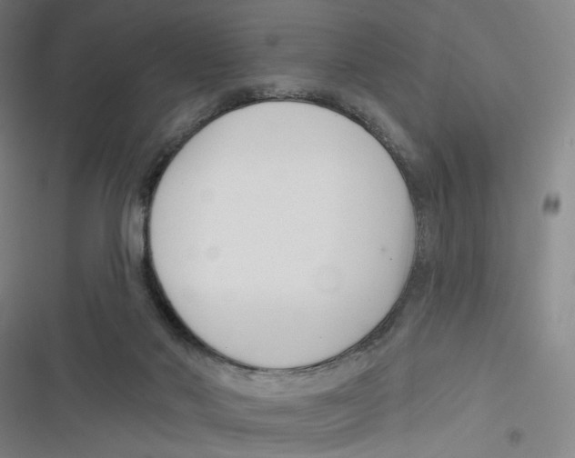 X0000116670022201001111320