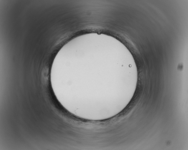 X0000116670024201001111320