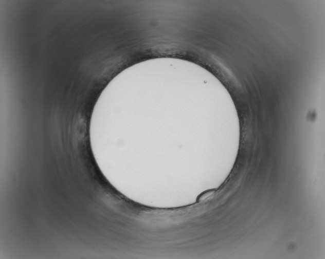 X0000116670025201001111320
