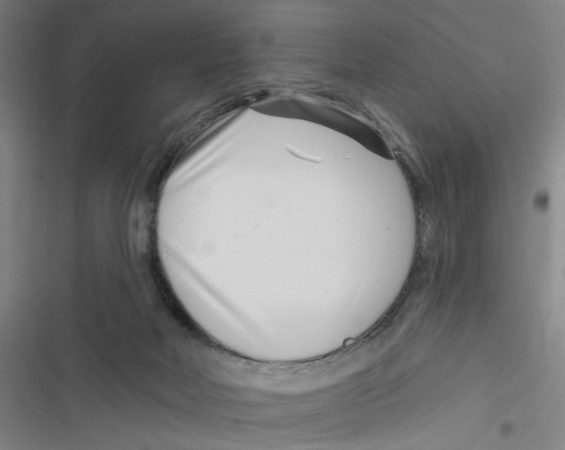 X0000116670026201001111320