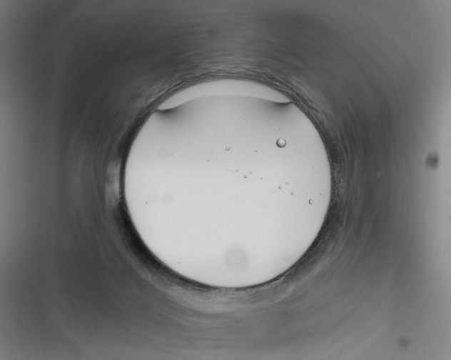 X0000116670028201001111320