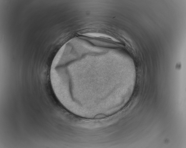 X0000116670029201001111320
