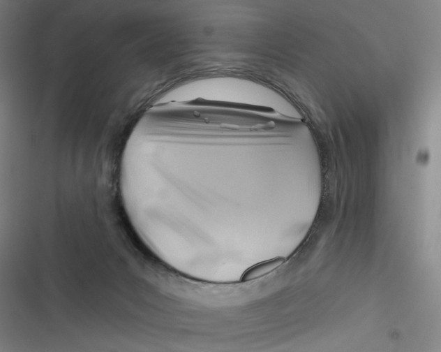 X0000116670031201001111320