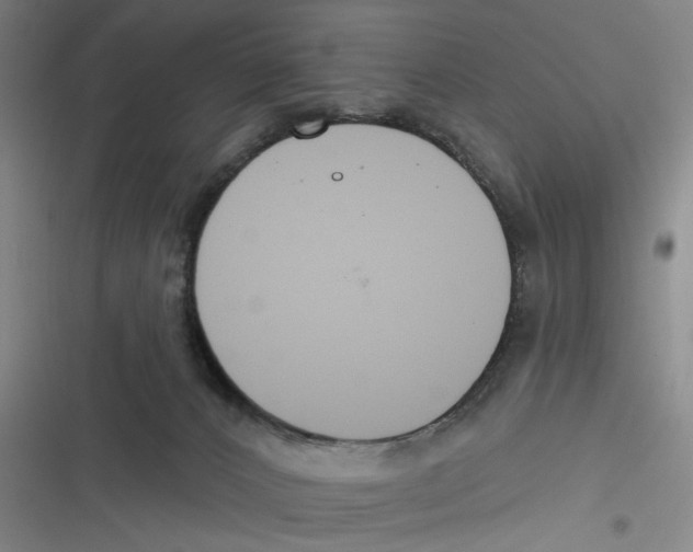 X0000116670032201001111320