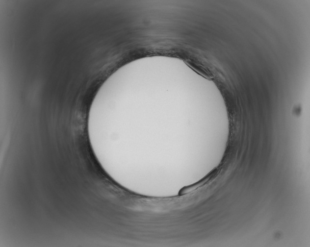 X0000116670033201001111320