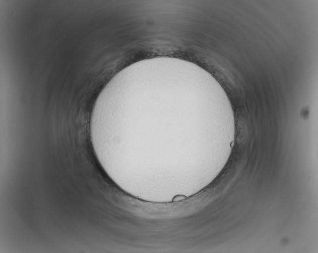 X0000116670034201001111320