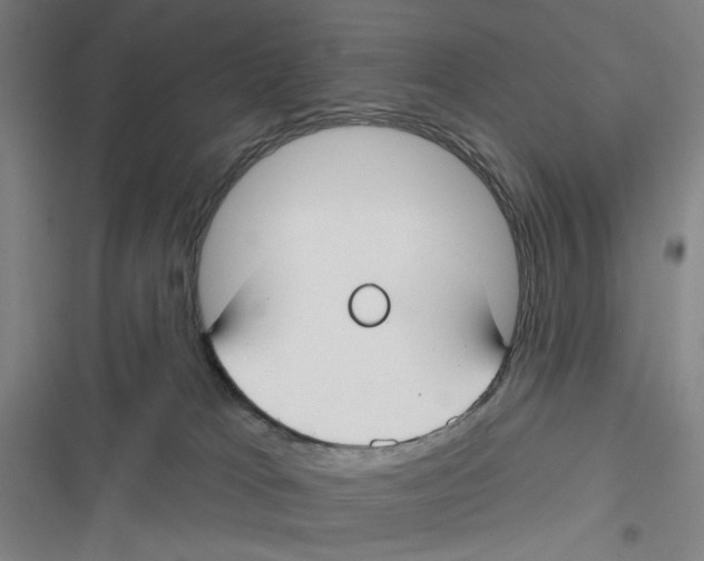 X0000116670037201001111320