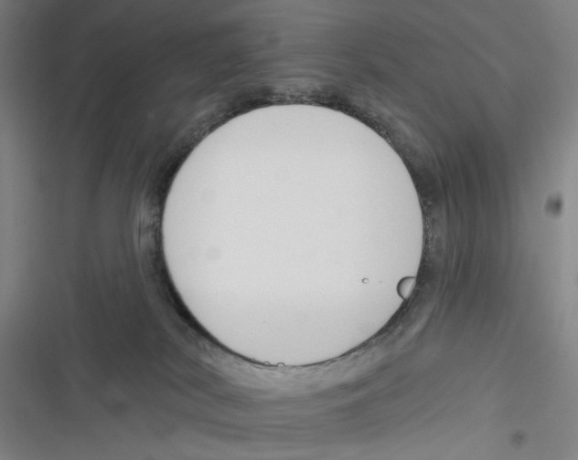 X0000116670038201001111320