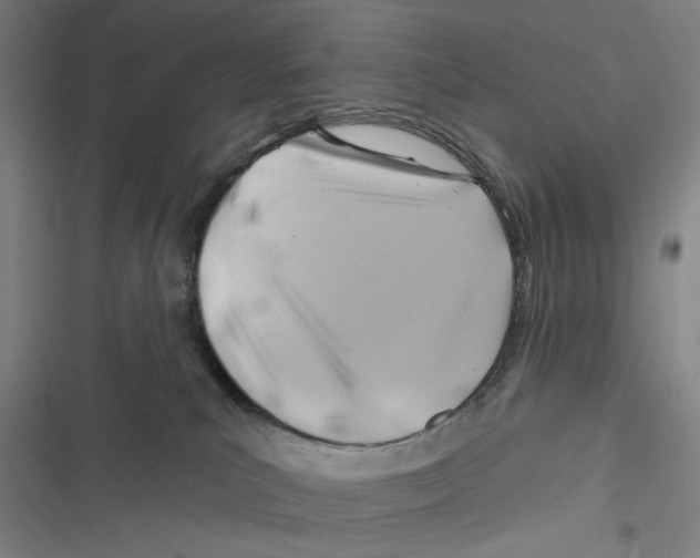 X0000116670039201001111320