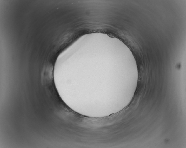 X0000116670041201001111320