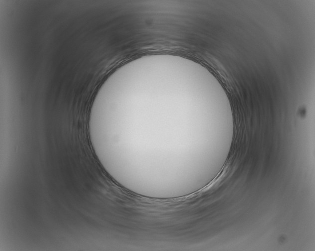 X0000116670045201001111320