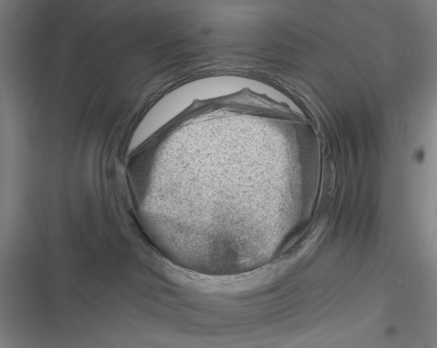 X0000116670046201001111320