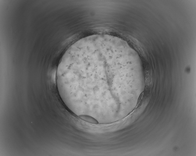 X0000116670047201001111320