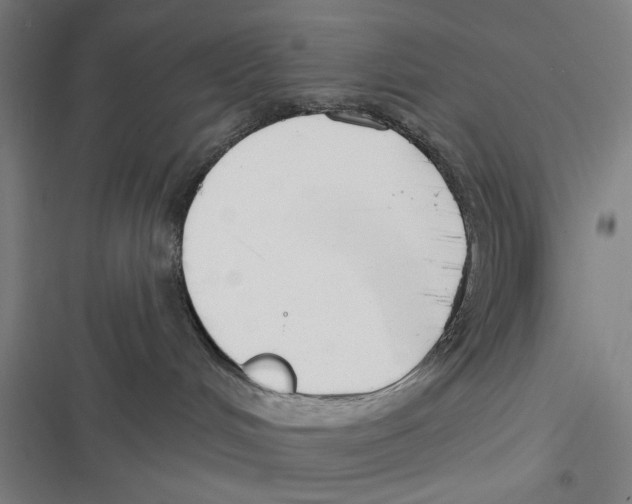 X0000116670048201001111320