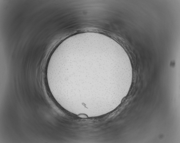 X0000116670049201001111319