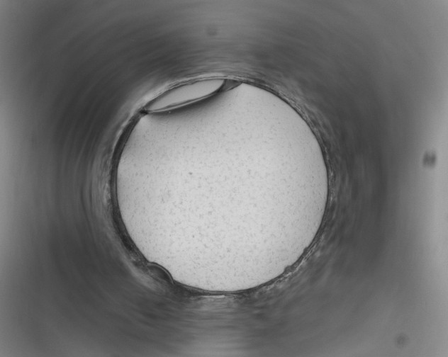 X0000116670050201001111319