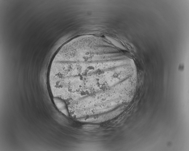 X0000116670051201001111319
