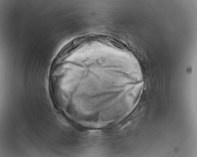 X0000116670052201001111319