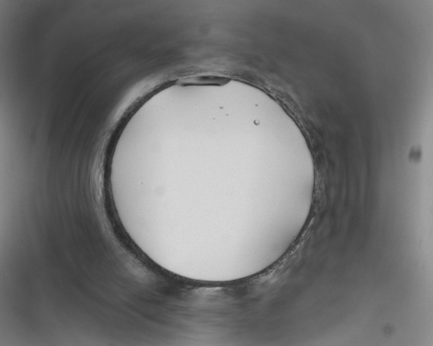 X0000116670054201001111319