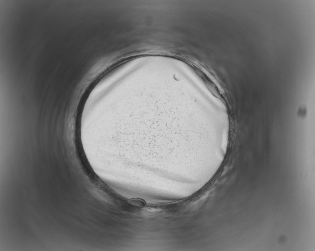 X0000116670055201001111319