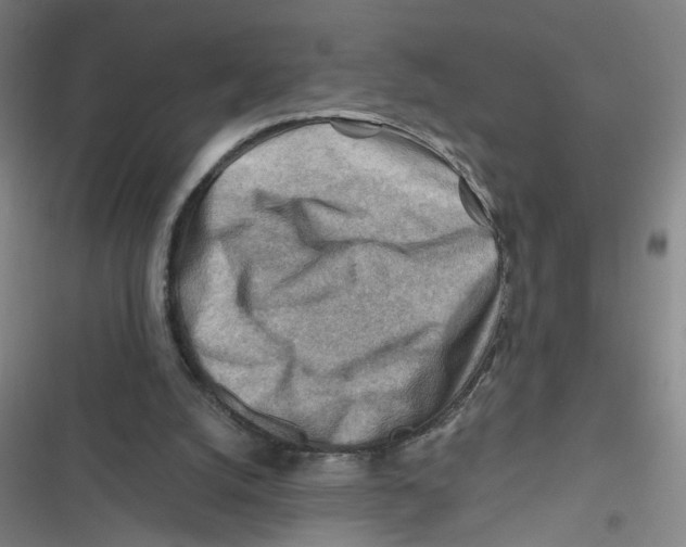 X0000116670056201001111319