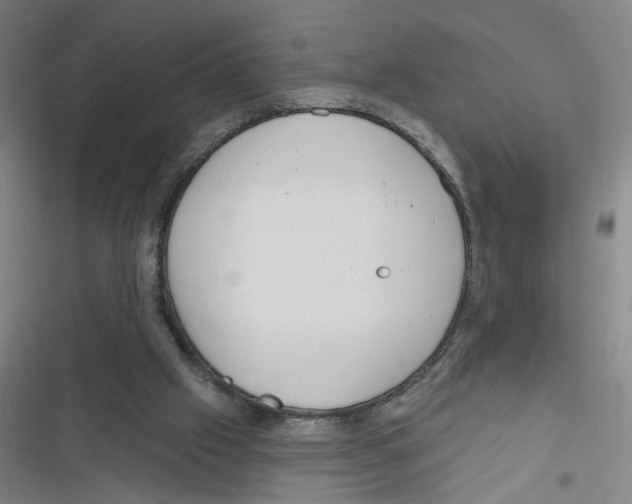 X0000116670057201001111319