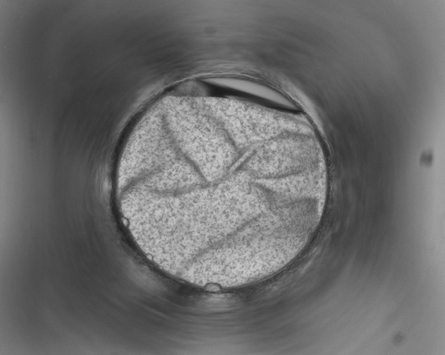 X0000116670059201001111319