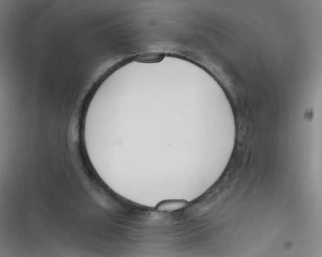 X0000116670060201001111319