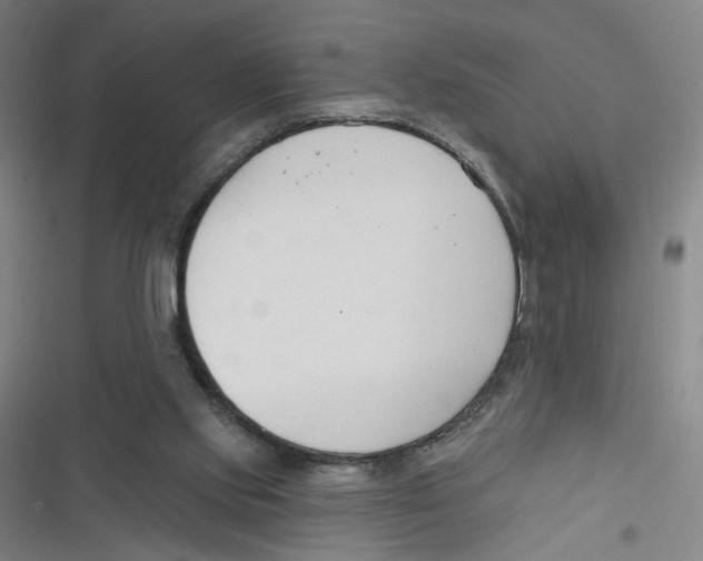 X0000116670061201001111319
