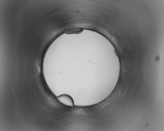 X0000116670062201001111319