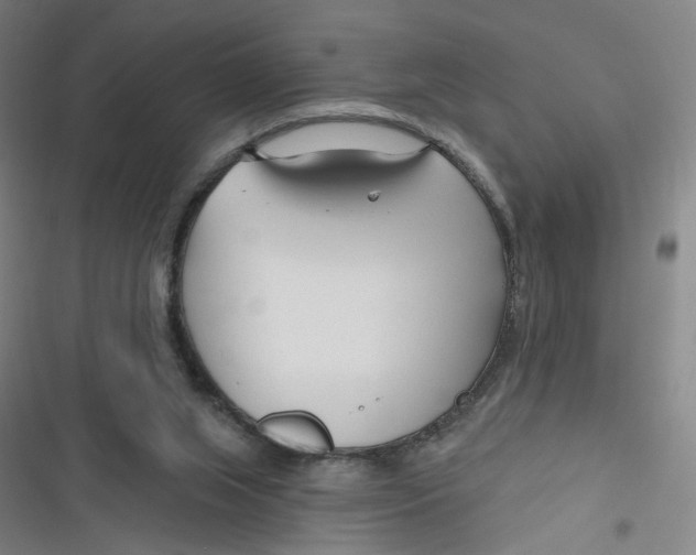 X0000116670063201001111319