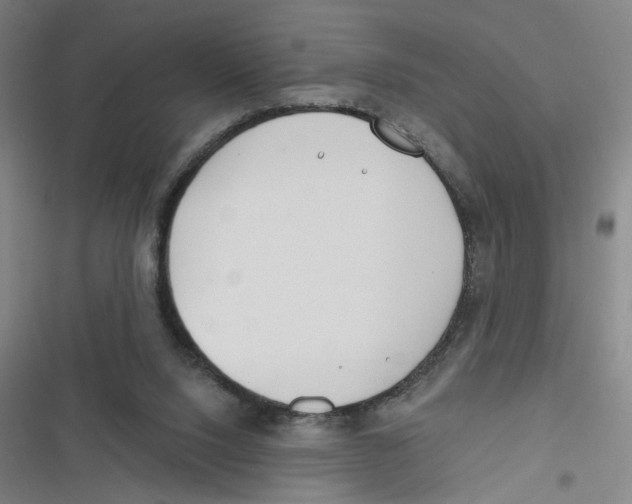 X0000116670064201001111319