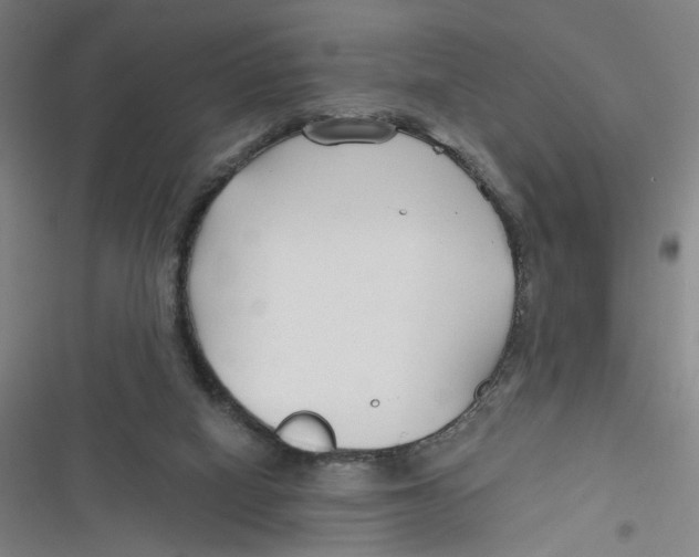 X0000116670066201001111319