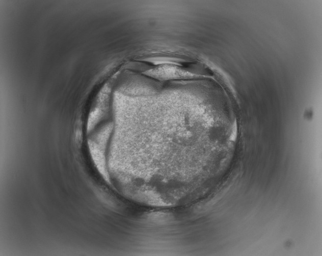 X0000116670067201001111319