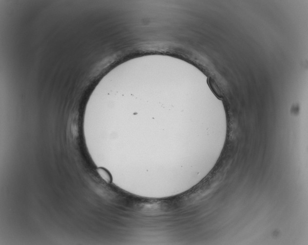 X0000116670068201001111319