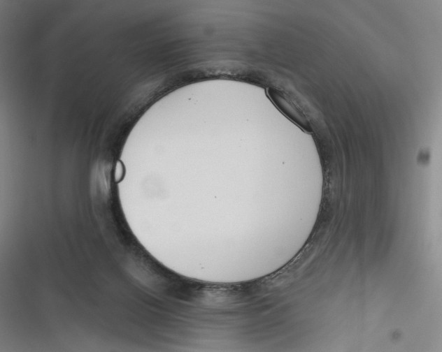 X0000116670070201001111319