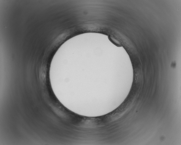 X0000116670072201001111319