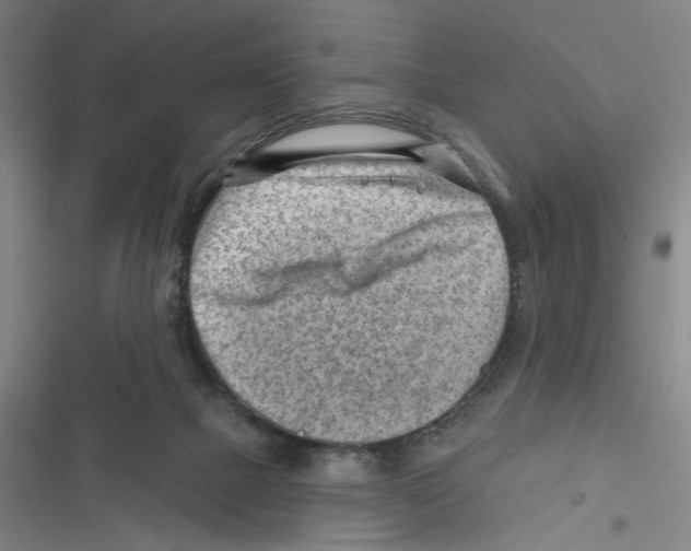 X0000116670073201001111319